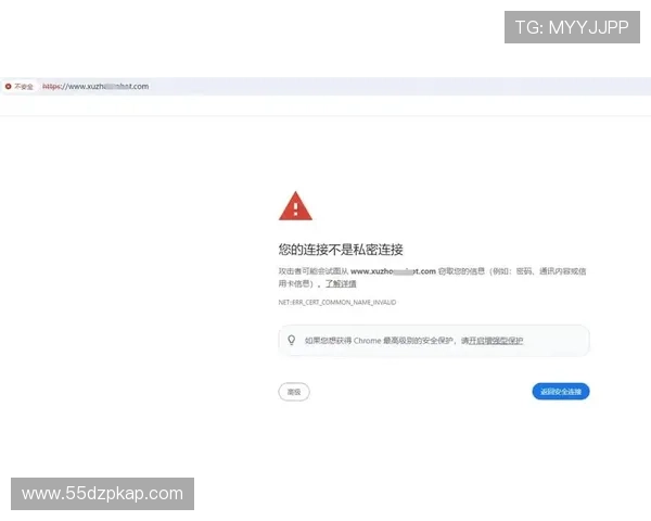 探寻百丽宫官方网址的正确访问方式与安全提示