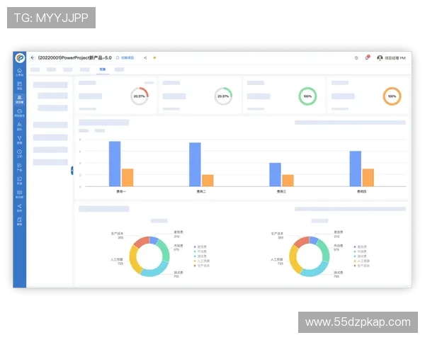 探索白菜项目网网：打造高效的项目管理平台